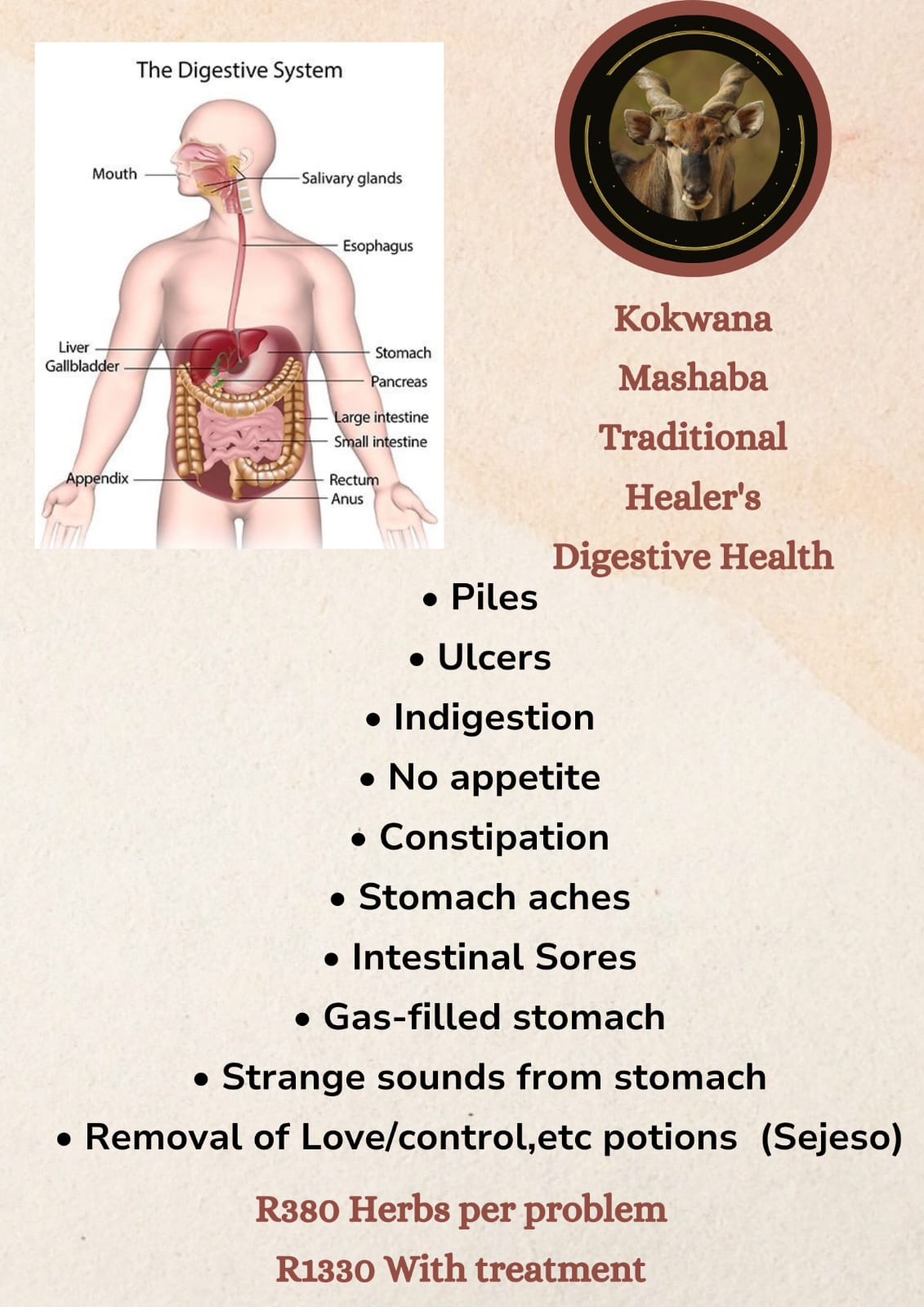 Digestive Health Product